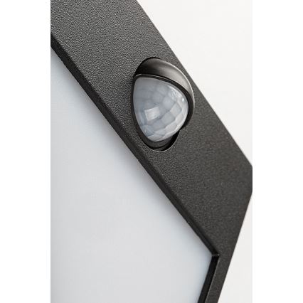 Rabalux - LED Outdoor wall light with a sensor LED/12W/230V black IP44