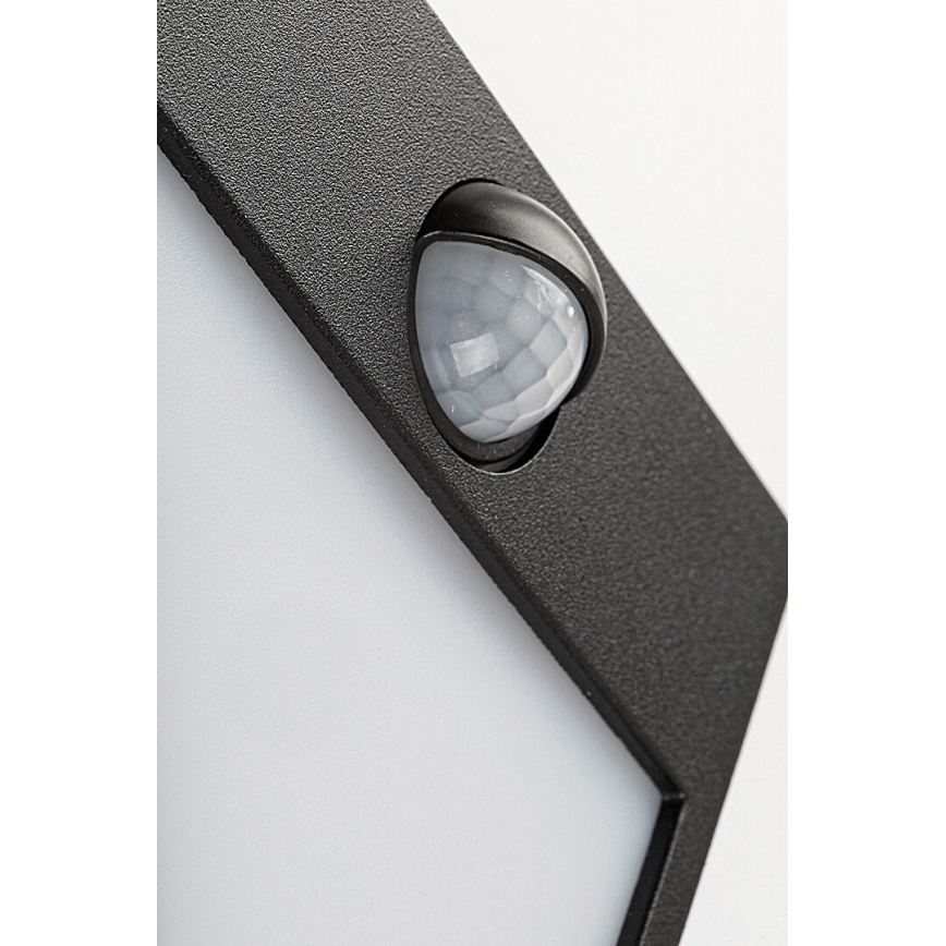 Rabalux - LED Outdoor wall light with a sensor LED/12W/230V black IP44