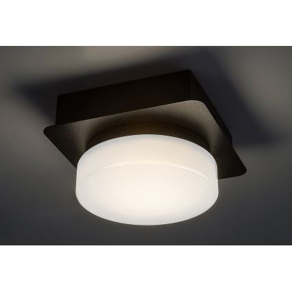 Rabalux - LED Ceiling bathroom light LED/5W/230V IP44 4000K black
