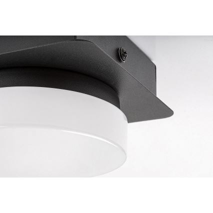 Rabalux - LED Ceiling bathroom light LED/5W/230V IP44 4000K black