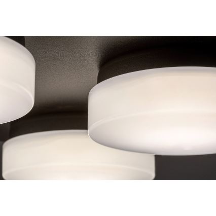 Rabalux - LED Ceiling bathroom light 4xLED/5,2W/230V IP44 black
