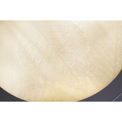 Rabalux - Bathroom ceiling light 2xE27/40W/230V IP44