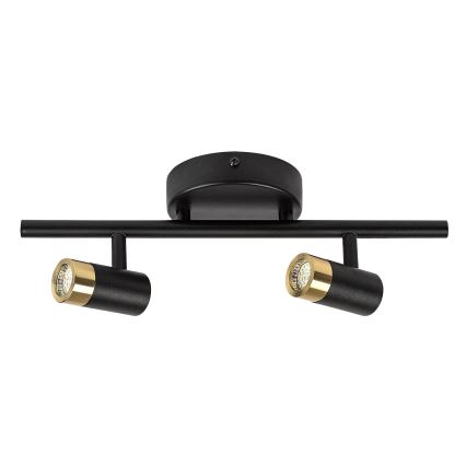 Rabalux - LED Wall spotlight 2xLED/3W/230V 4000K