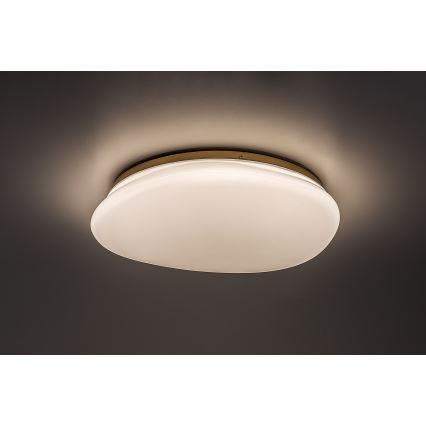 Rabalux - LED Bathroom Ceiling Light LED/24W/230V IP44 Ø 41 cm