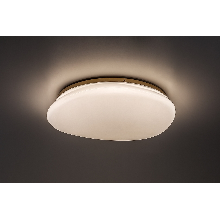 Rabalux - LED Bathroom Ceiling Light LED/24W/230V IP44 Ø 41 cm
