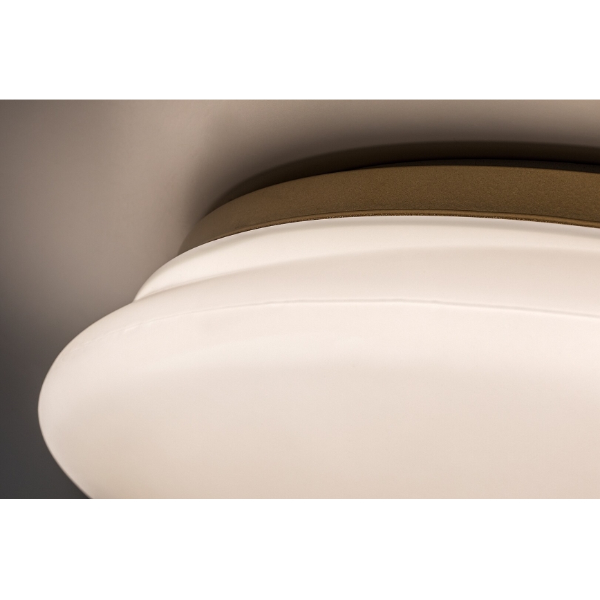 Rabalux - LED Bathroom Ceiling Light LED/24W/230V IP44 Ø 41 cm