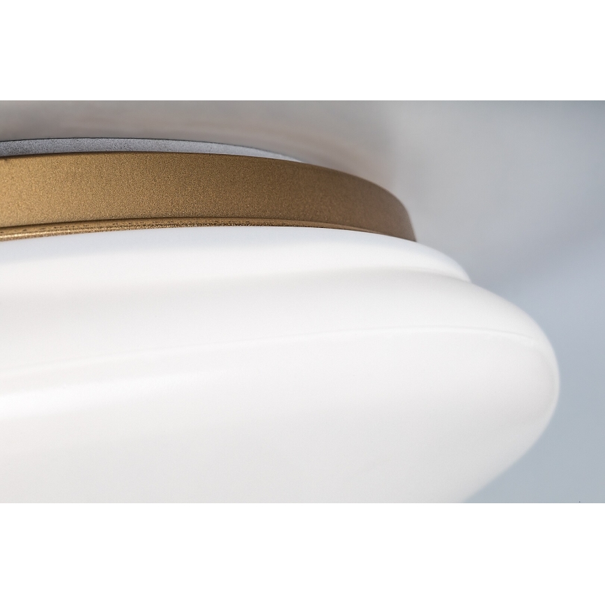 Rabalux - LED Bathroom Ceiling Light LED/24W/230V IP44 Ø 41 cm