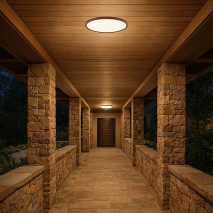 Rabalux - LED Bathroom Ceiling Light, 18W, 230V, Selectable 3000/4000/6000K, Ø 29 cm, IP44, Brown