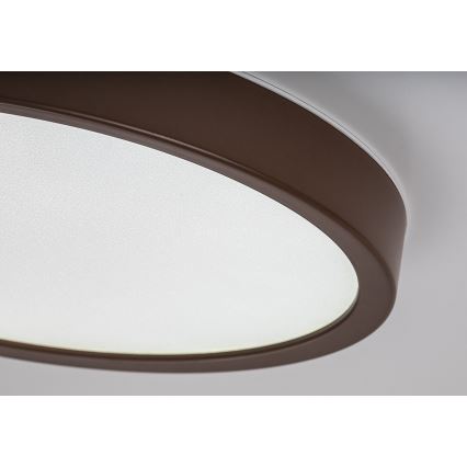 Rabalux - LED Bathroom Ceiling Light, 18W, 230V, Selectable 3000/4000/6000K, Ø 29 cm, IP44, Brown