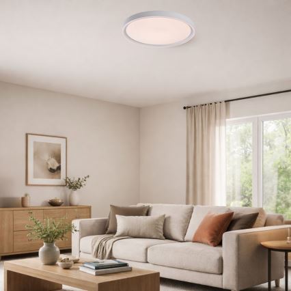 Rabalux - Dimmable LED Ceiling Light LED/31W/230V IP40 3000-6500K Ø 41,5 cm + remote control