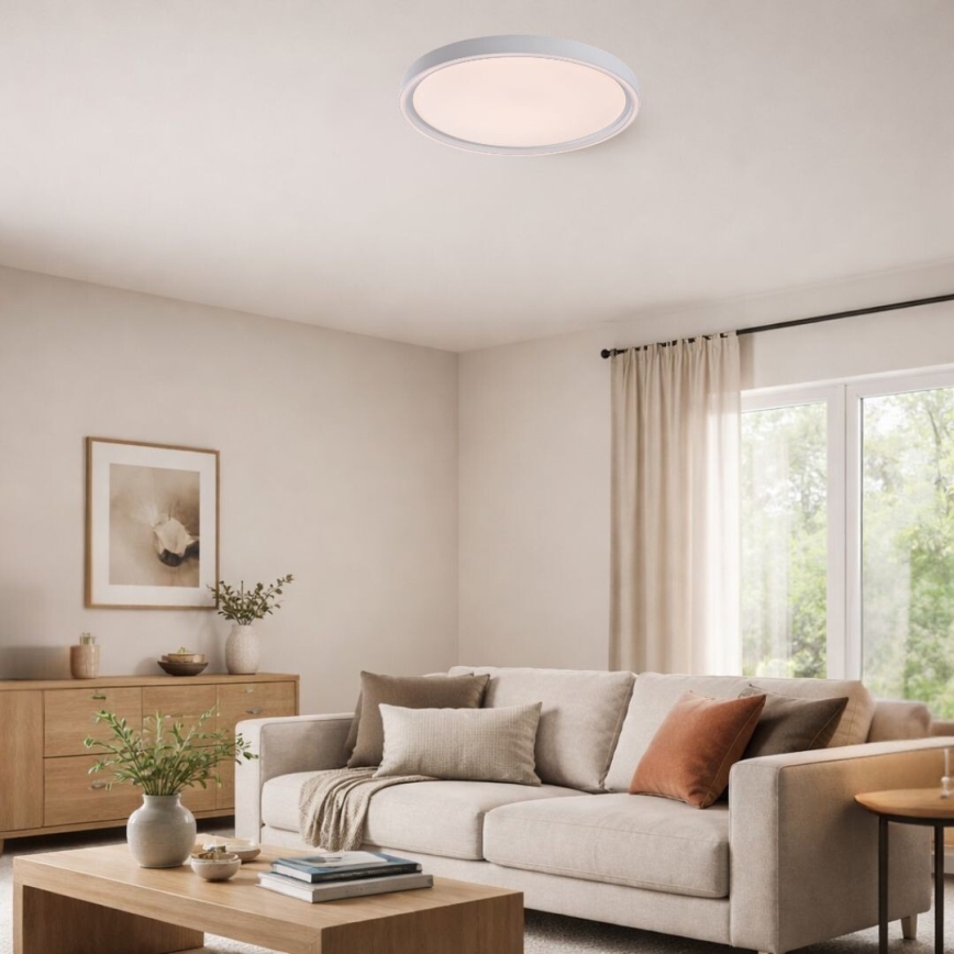 Rabalux - Dimmable LED Ceiling Light LED/31W/230V IP40 3000-6500K Ø 41,5 cm + remote control