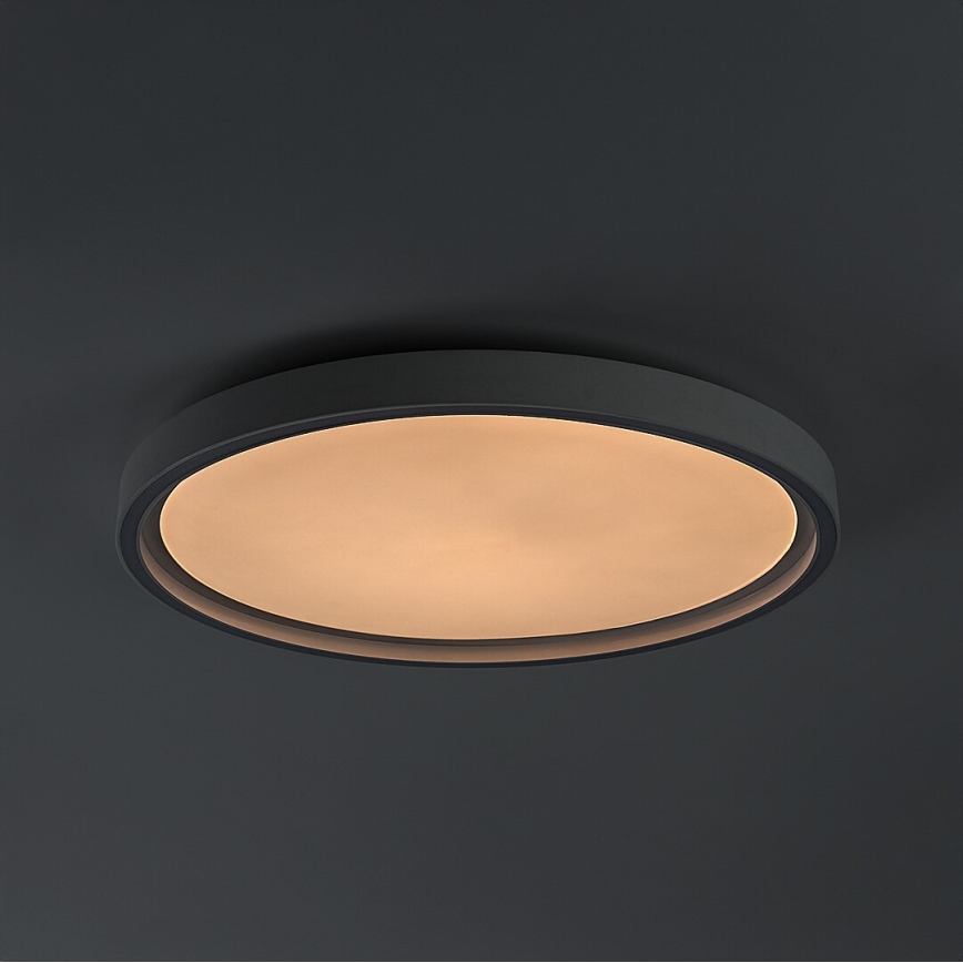 Rabalux - Dimmable LED Ceiling Light LED/31W/230V IP40 3000-6500K Ø 41,5 cm + remote control