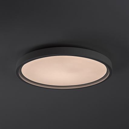 Rabalux - Dimmable LED Ceiling Light LED/31W/230V IP40 3000-6500K Ø 41,5 cm + remote control