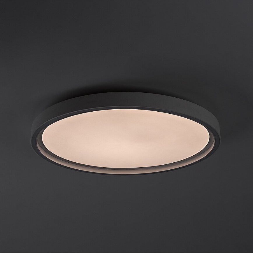 Rabalux - Dimmable LED Ceiling Light LED/31W/230V IP40 3000-6500K Ø 41,5 cm + remote control