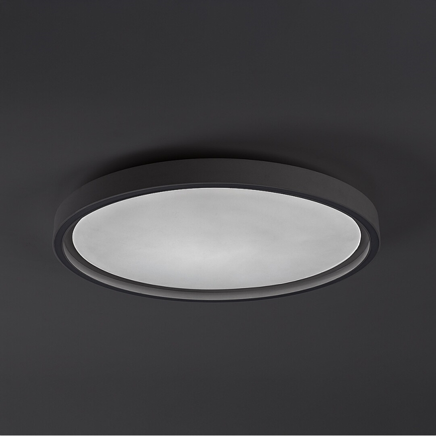 Rabalux - Dimmable LED Ceiling Light LED/31W/230V IP40 3000-6500K Ø 41,5 cm + remote control