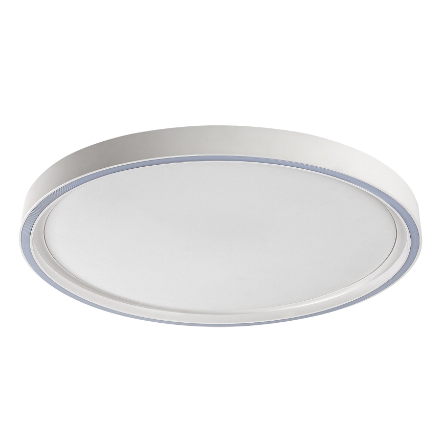 Rabalux - Dimmable LED Ceiling Light LED/31W/230V IP40 3000-6500K Ø 41,5 cm + remote control