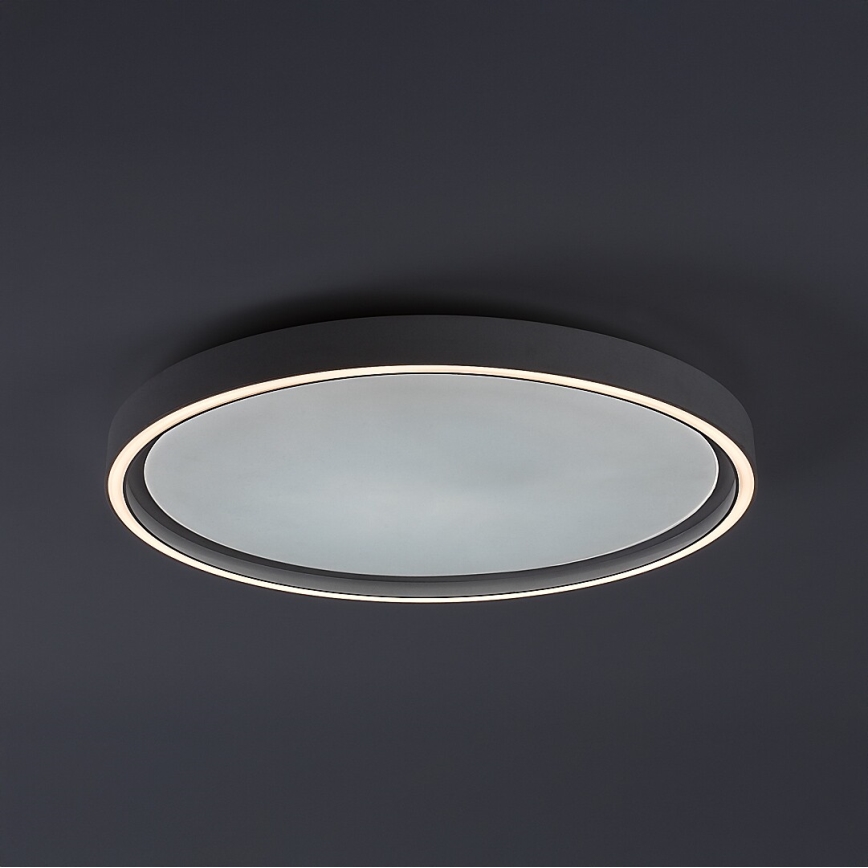 Rabalux - Dimmable LED Ceiling Light LED/31W/230V IP40 3000-6500K Ø 41,5 cm + remote control