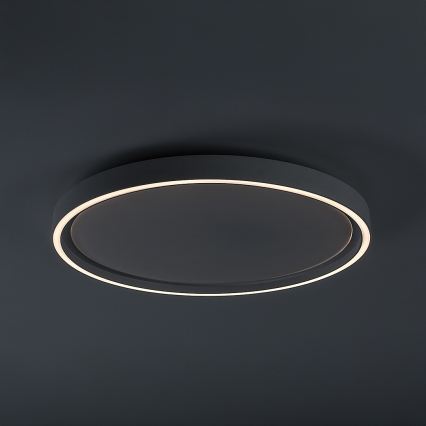 Rabalux - Dimmable LED Ceiling Light LED/31W/230V IP40 3000-6500K Ø 41,5 cm + remote control
