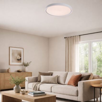 Rabalux - LED Dimmable Ceiling Light LED/54W/230V IP40 3000–6500K Ø 52 cm + Remote Control