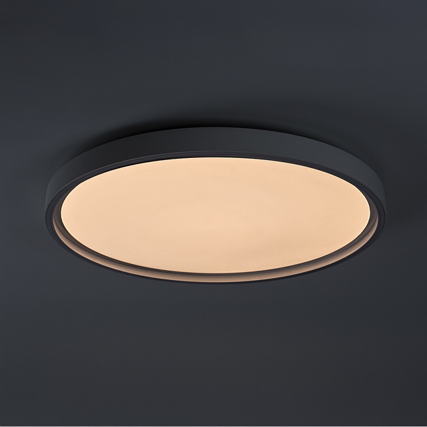 Rabalux - LED Dimmable Ceiling Light LED/54W/230V IP40 3000–6500K Ø 52 cm + Remote Control