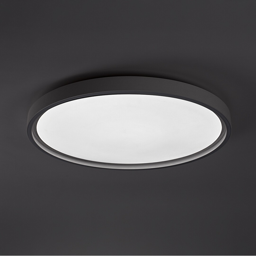 Rabalux - LED Dimmable Ceiling Light LED/54W/230V IP40 3000–6500K Ø 52 cm + Remote Control