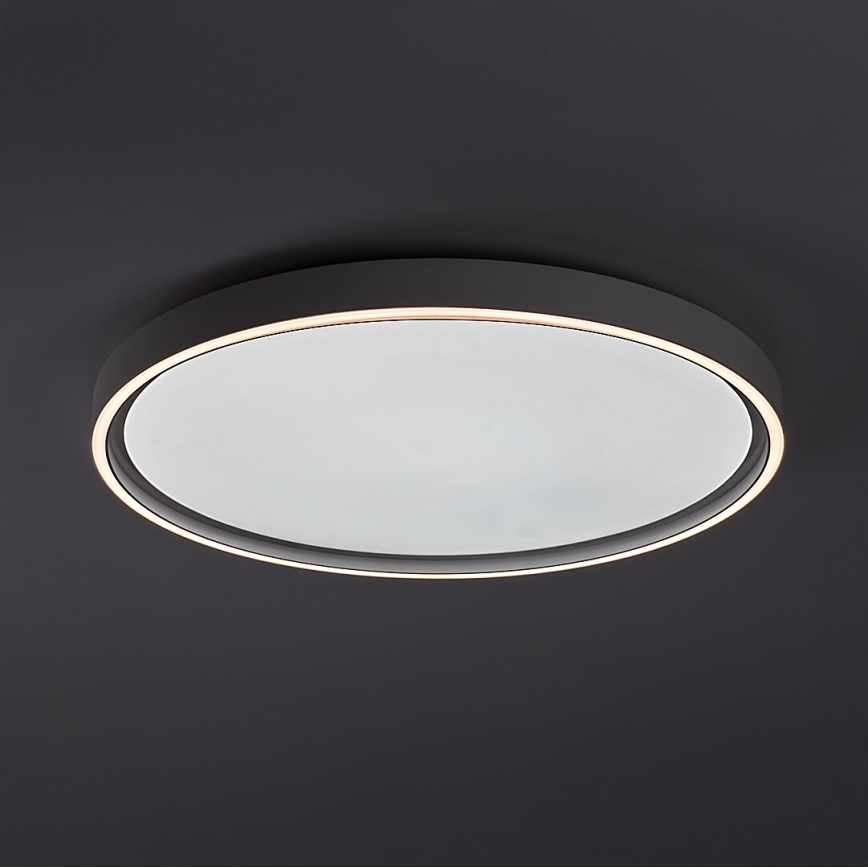 Rabalux - LED Dimmable Ceiling Light LED/54W/230V IP40 3000–6500K Ø 52 cm + Remote Control