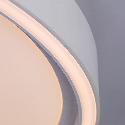 Rabalux - LED Dimmable Ceiling Light LED/54W/230V IP40 3000–6500K Ø 52 cm + Remote Control