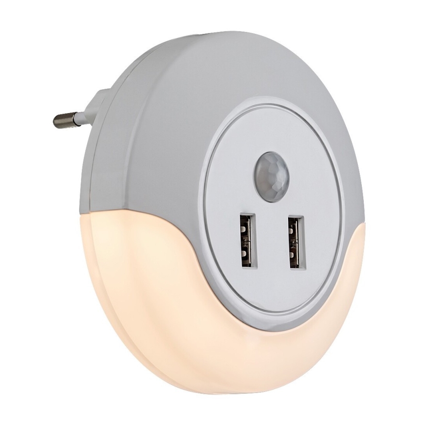 Rabalux - LED Socket night light with a sensor 2xUSB LED/13,9W/230V 3000K