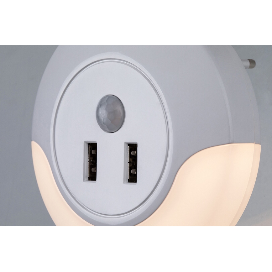 Rabalux - LED Socket night light with a sensor 2xUSB LED/13,9W/230V 3000K