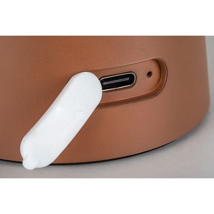 Rabalux - Dimmable LED Touch Rechargeable Outdoor Lamp LED/1.5W/5V IP44 1200 mAh USB Brown