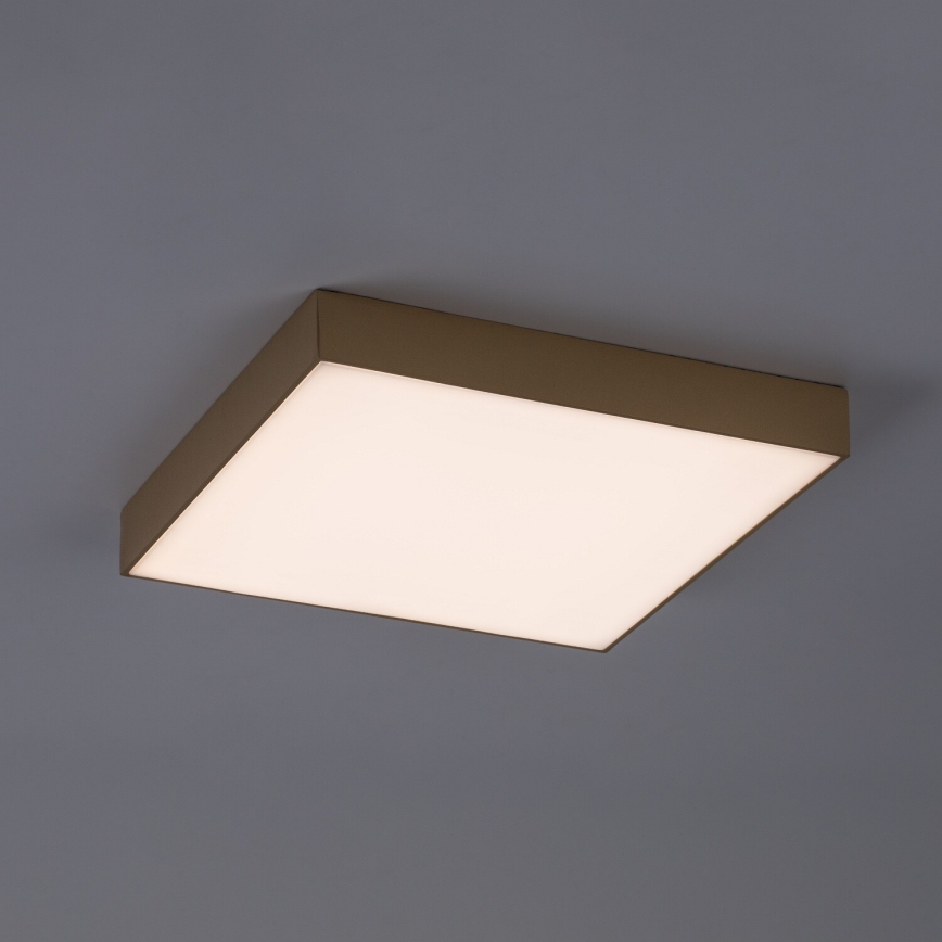 Rabalux - LED Bathroom Ceiling Light LED/24W/230V 2800/4000/6000K IP44