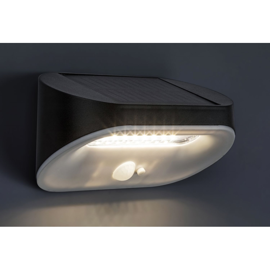Rabalux - LED Solar light with a sensor LED/3,2W/3,7V IP44