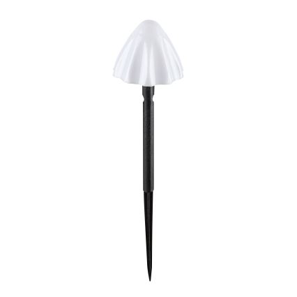 Rabalux - LED Solar light 10xLED/0,2W/1,2V IP44