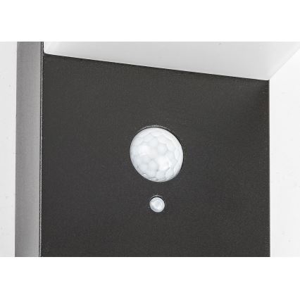 Rabalux - LED Solar light with a sensor LED/6W/3,7V IP44 2200 mAh