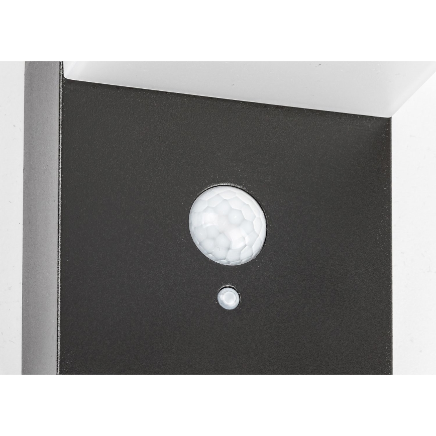Rabalux - LED Solar light with a sensor LED/6W/3,7V IP44 2200 mAh