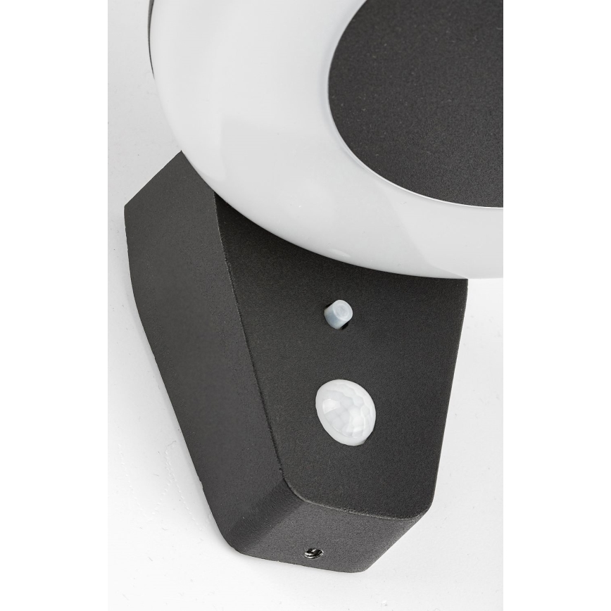 Rabalux - LED Solar light with a sensor LED/4W/3,7V IP44