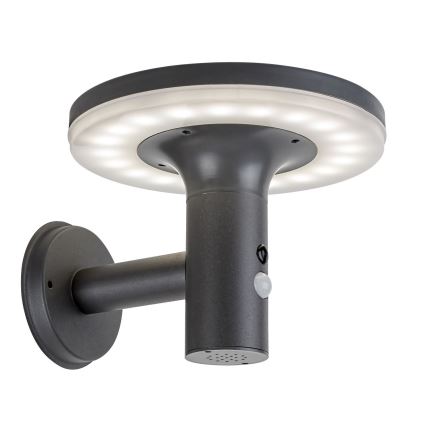 Rabalux - LED Solar light with a sensor LED/10W/3,7V IP44