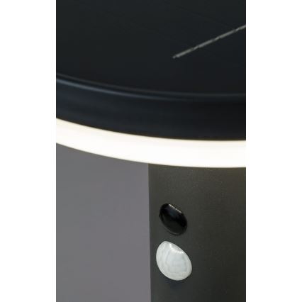 Rabalux - LED Solar light with a sensor LED/10W/3,7V IP44