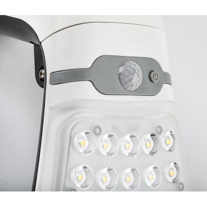Rabalux - LED Dimmable solar light with a sensor LED/4W/3,7V IP44
