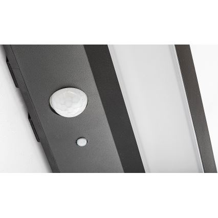 Rabalux - LED Solar light with a sensor LED/6W/3,7V IP44