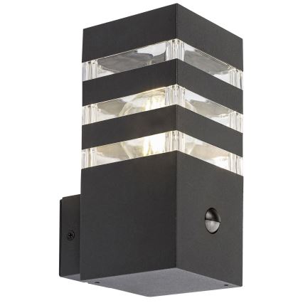 Rabalux - Outdoor wall light with a sensor 1xE27/12W/230V IP44
