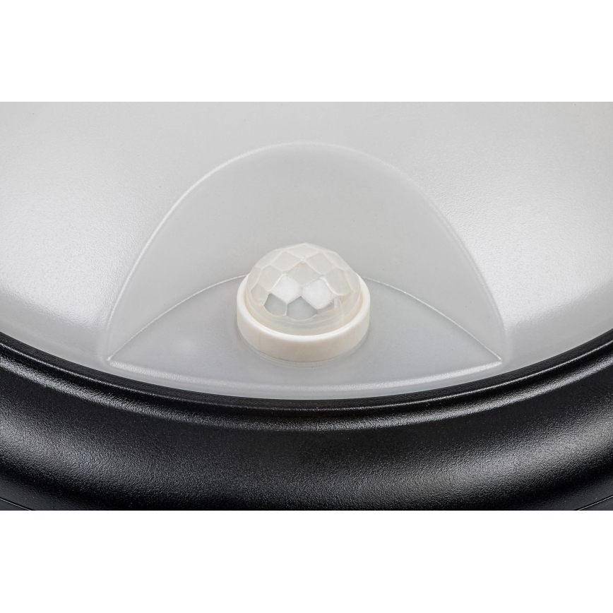 Rabalux - LED Outdoor wall light with a sensor LED/15W/230V IP54