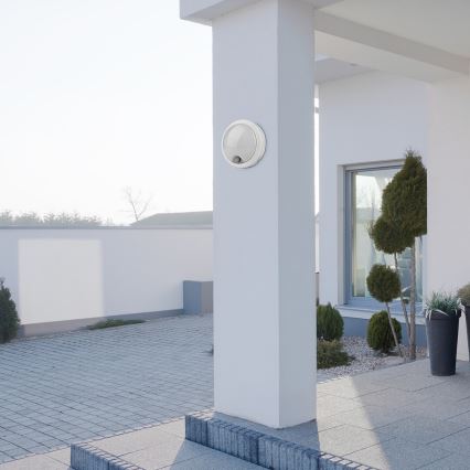 Rabalux - LED Outdoor wall light with a sensor LED/15W/230V IP54