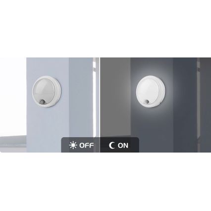 Rabalux - LED Outdoor wall light with a sensor LED/15W/230V IP54