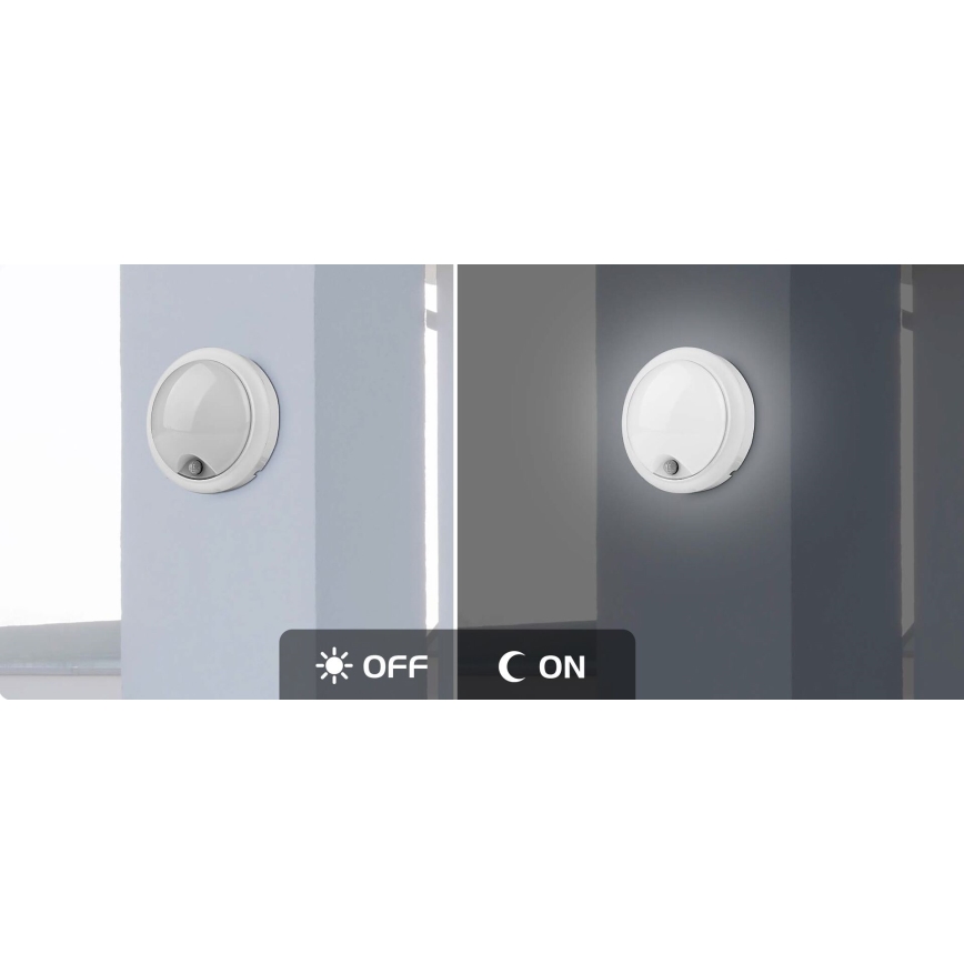 Rabalux - LED Outdoor wall light with a sensor LED/15W/230V IP54