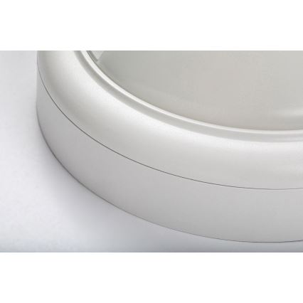 Rabalux - LED Outdoor wall light with a sensor LED/15W/230V IP54