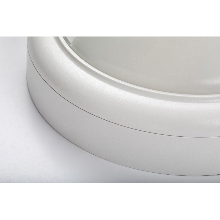 Rabalux - LED Outdoor wall light with a sensor LED/15W/230V IP54