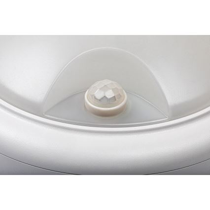 Rabalux - LED Outdoor wall light with a sensor LED/15W/230V IP54