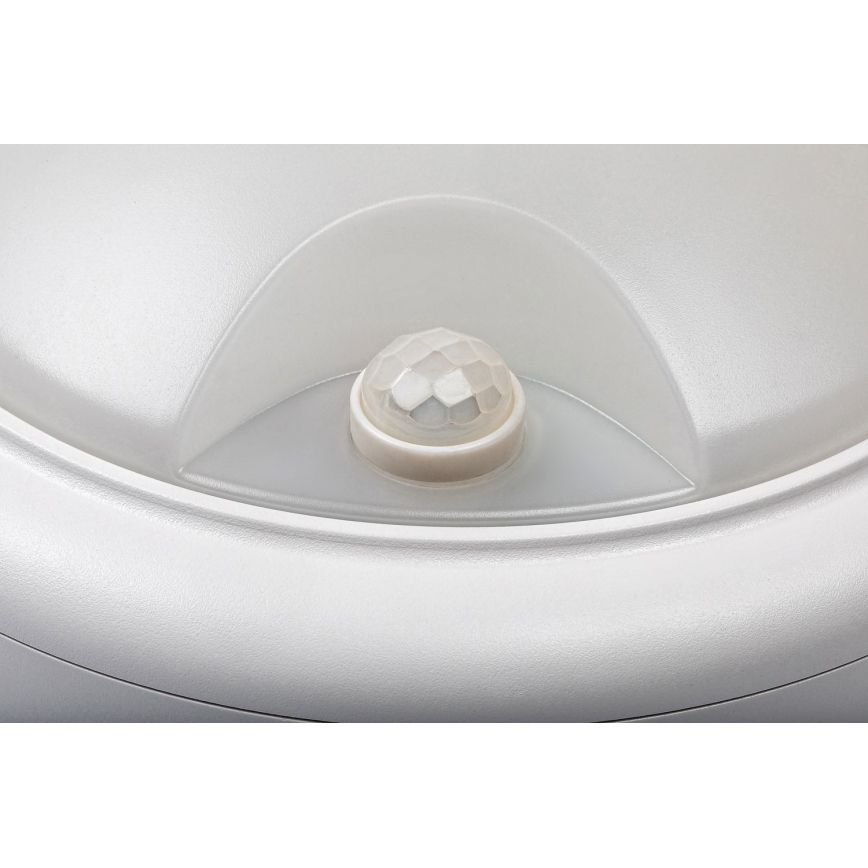Rabalux - LED Outdoor wall light with a sensor LED/15W/230V IP54