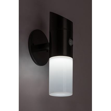 Rabalux - LED RGB Solar wall light with sensor LED/1W/3,7V IP44 black